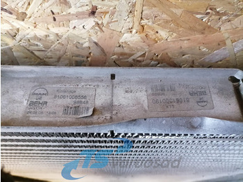 Tarpinis aušintuvas - Sunkvežimis MAN Intercooler radiator 81061006556: foto 5