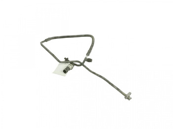 : nuotrauka antraštėje