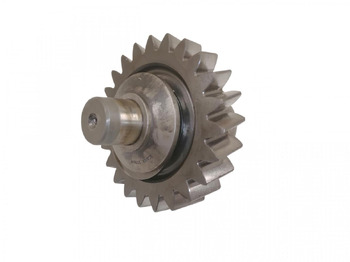 : nuotrauka antraštėje