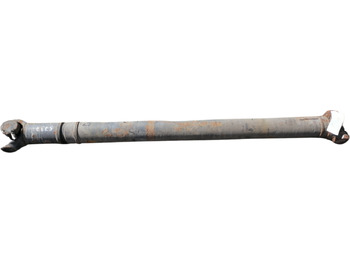 : nuotrauka antraštėje