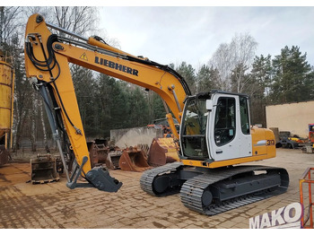 Vikšrinis ekskavatorius Liebherr R 313 Litronic: foto 2