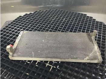 : nuotrauka antraštėje