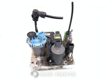 : nuotrauka antraštėje