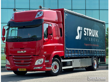 Furgonas sunkvežimis DAF CF 290