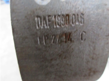 Lingių pakaba - Sunkvežimis DAF 1890046 BLADVEER DAF CF XF 480 EURO 6 MODEL 2021: foto 4