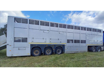 Gyvulių pervežimo puspriekabė GRAY & ADAMS