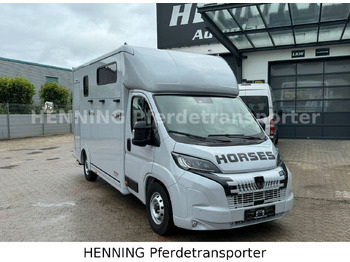 Gyvulių pervežimo sunkvežimis Peugeot Boxer 3 - Sitzer *GROSSE SATTELKAMMER*: foto 2