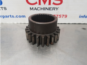 : nuotrauka antraštėje