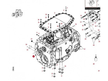 : nuotrauka antraštėje
