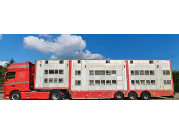 Gyvulių pervežimo puspriekabė Pezzaioli 2017 / 3 POZIOMY / TRANSPORT ZWIERZĄT / HYDRAULIKA / STEROWANIE PILOTEM/ PODNOSZONY DACH /: foto 2