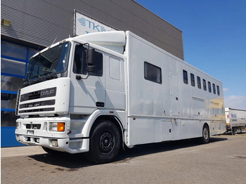 Sunkvežimis žirgams vežti DAF 95 350