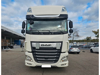 Vilkikas DAF XF 480