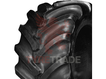 : nuotrauka antraštėje