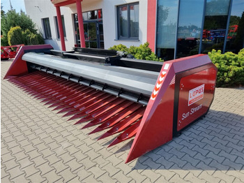 : nuotrauka antraštėje