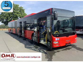 Sujungtas autobusas MAN Lion's City A23