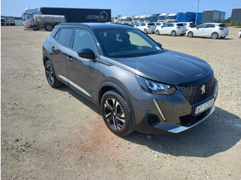 Visureigis PEUGEOT