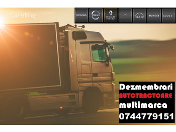 Švaistiklis - Sunkvežimis DAF XF95/XF105 (2001-) truck: foto 3