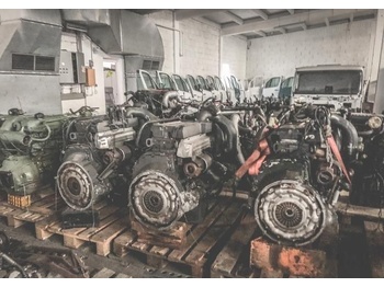 Variklis RENAULT Magnum