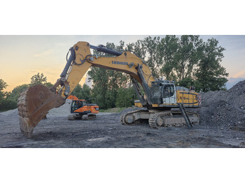 Vikšrinis ekskavatorius LIEBHERR