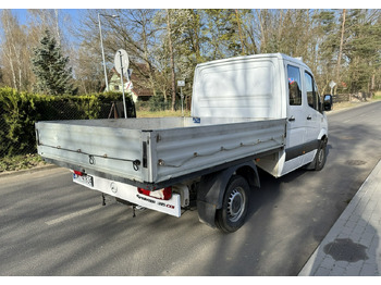 Bortinis automobilis, Komercinis automobilis su dviguba kabina Mercedes-Benz Sprinter Sprinter 315 CDI dokka doka Brygadówka skrzynia 2007: foto 3