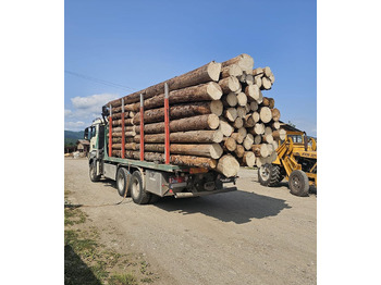 Miškovežis pervežimui medienos MAN 33.480 6x6: foto 4