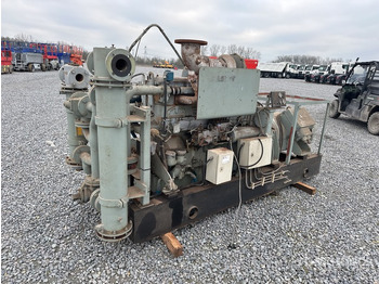 Elektrinis generatorius