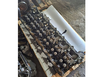 Cilindrų galvutė RENAULT Magnum