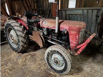 Traktorius MASSEY FERGUSON 1000 series