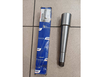 Stabdžių dalys DAF