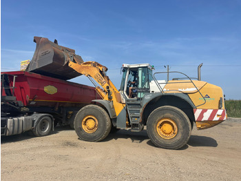 Ratinis krautuvas LIEBHERR 564 FRONT LOADER: foto 4
