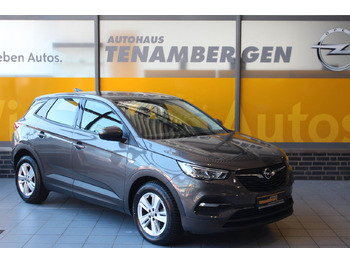Visureigis OPEL