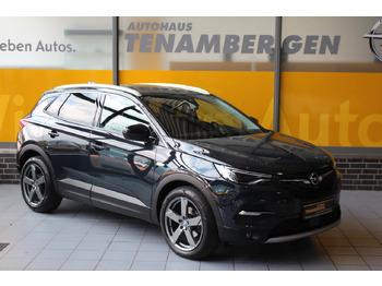 Visureigis OPEL