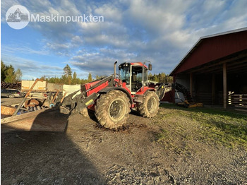 Ekskavatorius-krautuvas HUDDIG