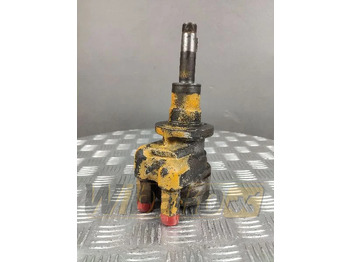 : nuotrauka antraštėje