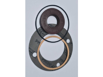 Atsarginės dalys LAMBORGHINI