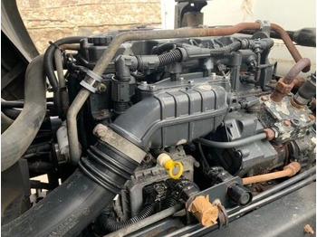 Variklis - Sunkvežimis IVECO F4AE3481D   IVECO EUROCARGO truck: foto 3