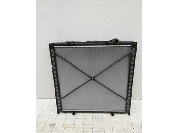 Radiatorius DAF XF 106