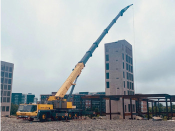 Visureigis kranas GROVE