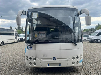 Priemiestinis autobusas TEMSA