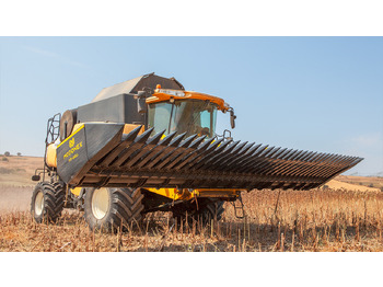 Saulėgražų pjaunamoji