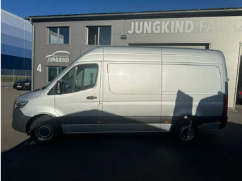 Krovininis mikroautobusas MERCEDES-BENZ Sprinter 317