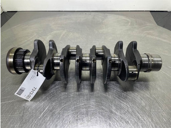 Deutz BF4M1013E-04201319-Crankshaft/Kurbelwelle/Krukas lizingą Deutz BF4M1013E-04201319-Crankshaft/Kurbelwelle/Krukas: foto 1