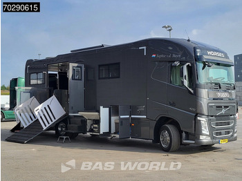 Sunkvežimis žirgams vežti Volvo FH 420 FH 4X2 NL-Truck STX Horse truck + Living 4 Horses Navi ACC Euro 6: foto 3