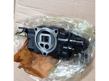 : nuotrauka antraštėje