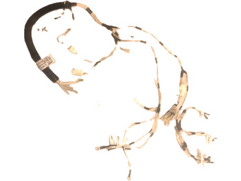 Kabeliai/ Laidai CATERPILLAR