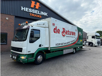 Furgonas sunkvežimis DAF LF 45 220