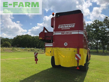 Bulvių kombainas Grimme se 150/60 nb xxl: foto 3