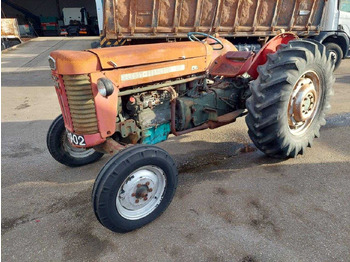 Traktorius MASSEY FERGUSON