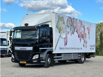 Furgonas sunkvežimis DAF CF 290