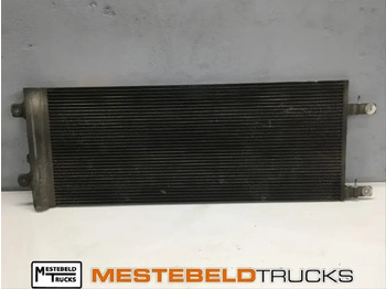 Aušinimo sistema DAF